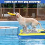 Rampa Inflable para Perros Whiffee 384 RAMP 60x40 Pulgadas Azul y Amarillo PVC