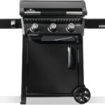 Parrilla Plancha Napoleon Freestyle F24DFTNK 24 Pulgadas Gas Natural Cooktop Acero Pre-sazonado 3.5 mm