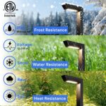 Luces de Paisaje LED Yankon ZDL1225B Bajo Voltaje 5W 200 Lúmenes IP65 Negro Paquete de 6