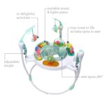 Saltador de Actividad Infantino Magic Motion 203144-00 Tema Oceano Asiento Giratorio 360 Grados Altura Ajustable