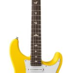 PRS SE Silver Sky Diapasón de Palisandro, León Dandy con Funda