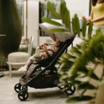 Ergobaby Metro 3 Deluxe Silla de Paseo para Recién Nacidos, Bebés y Niños | Gris Perla