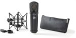 Warm Audio WA-87jr Micrófono condensador de diafragma grande con montura de choque, sonido rico de calidad de estudio pa