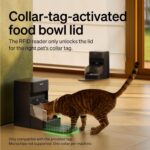 Comedero Automático RFID para Gatos PETLIBRO PLAF301 3 Litros con Sensor de Collar Wi-Fi Doble Banda