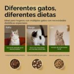 Comedero Automático RFID para Gatos PETLIBRO PLAF301 3 Litros con Sensor de Collar Wi-Fi Doble Banda