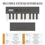 Juego de teclado de piano de 88 teclas, piano digital electrónico con altavoz y micrófono integrados, teclado portátil p
