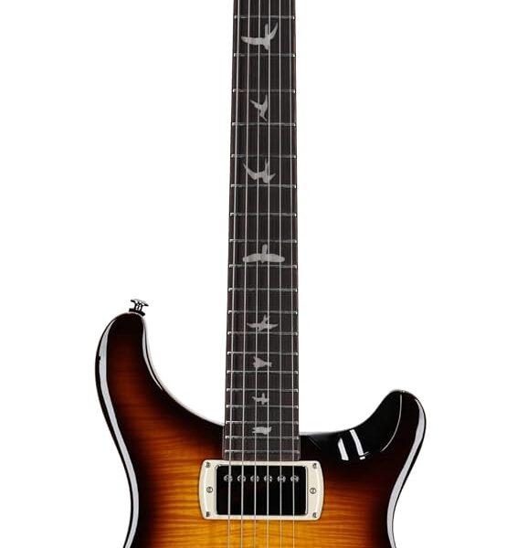 PRS SE DGT Birds McCarty, Tabaco Sunburst con Gigbag
