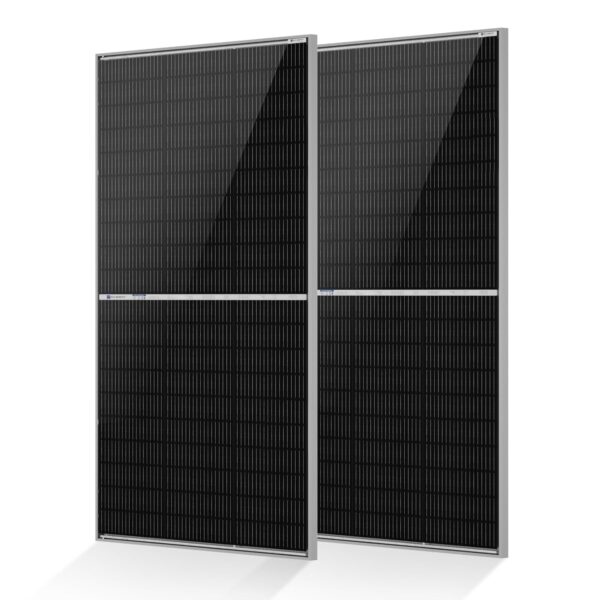 Panel Solar Bifacial ECO-WORTHY US-L02M195NTM-2 195W 12V Tipo N 18BB Paquete de 2