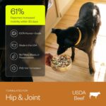 Alimento para Perros Maev Carne de Res Congelada Grado Humano Fórmula Cadera y Articulaciones Sin Granos Paquete de 2 5