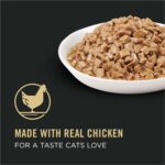 Alimento Húmedo para Gatos Purina Pro Plan Urinary Tract Health Pollo en Salsa Paquete de 48 Latas 5.5 Onzas