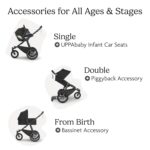 Cochecito para Correr UPPAbaby Ridge V2 James Modelo 1403-RDG-NA-JMS con Neumáticos Sin Ruptura
