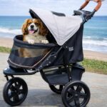 Cochecito Pet Gear AT3 para Mascotas Sin Cremallera Modelo 8350NZSS Sal Marina Ruedas E.V.A. 12 Pulgadas