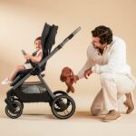 Maxi-Cosi Cochecito modular Oxford, caviar caspio