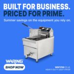 Waring Freidora comercial de 15 libras, para papas fritas, calamares y albóndigas, WDF1700