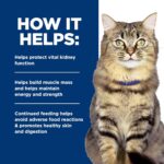 Alimento Húmedo para Gato Hill's Prescription Diet k/d Kidney Care Paté Sabor Pollo Hidrolizado 5.5 oz