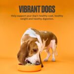 Alimento para Perro Nom Nom Congelado Sabor Pollo Sin Granos Paquete de 14 Bolsas de 14 Onzas