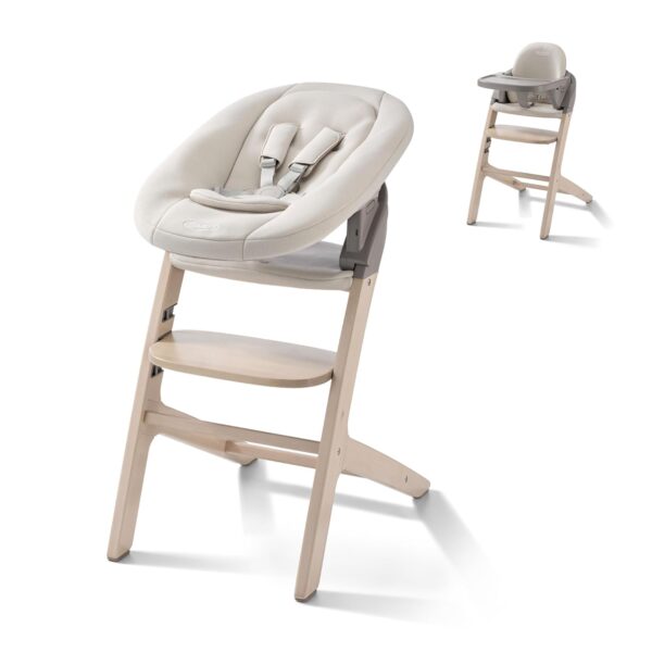 Periquera Graco Close2Baby 3 en 1 con Newborn SecureSeat Modelo 2231001 Color Rue