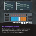 Novation FLkey 2 49 — Teclado controlador MIDI de 49 teclas para FL Studio. Haz ritmos con teclas semi-ponderadas, USB,