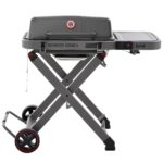 Parrilla de Gas Propano Portátil Feasto GRS02GN Gris con Carrito Plegable y Mesa Lateral 369 Pulgadas Cuadradas de Cocci