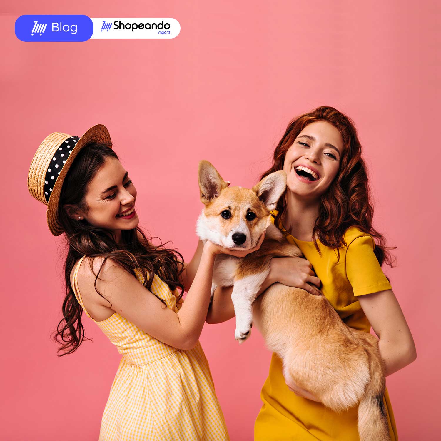 Comienza una tienda de artículos para mascotas