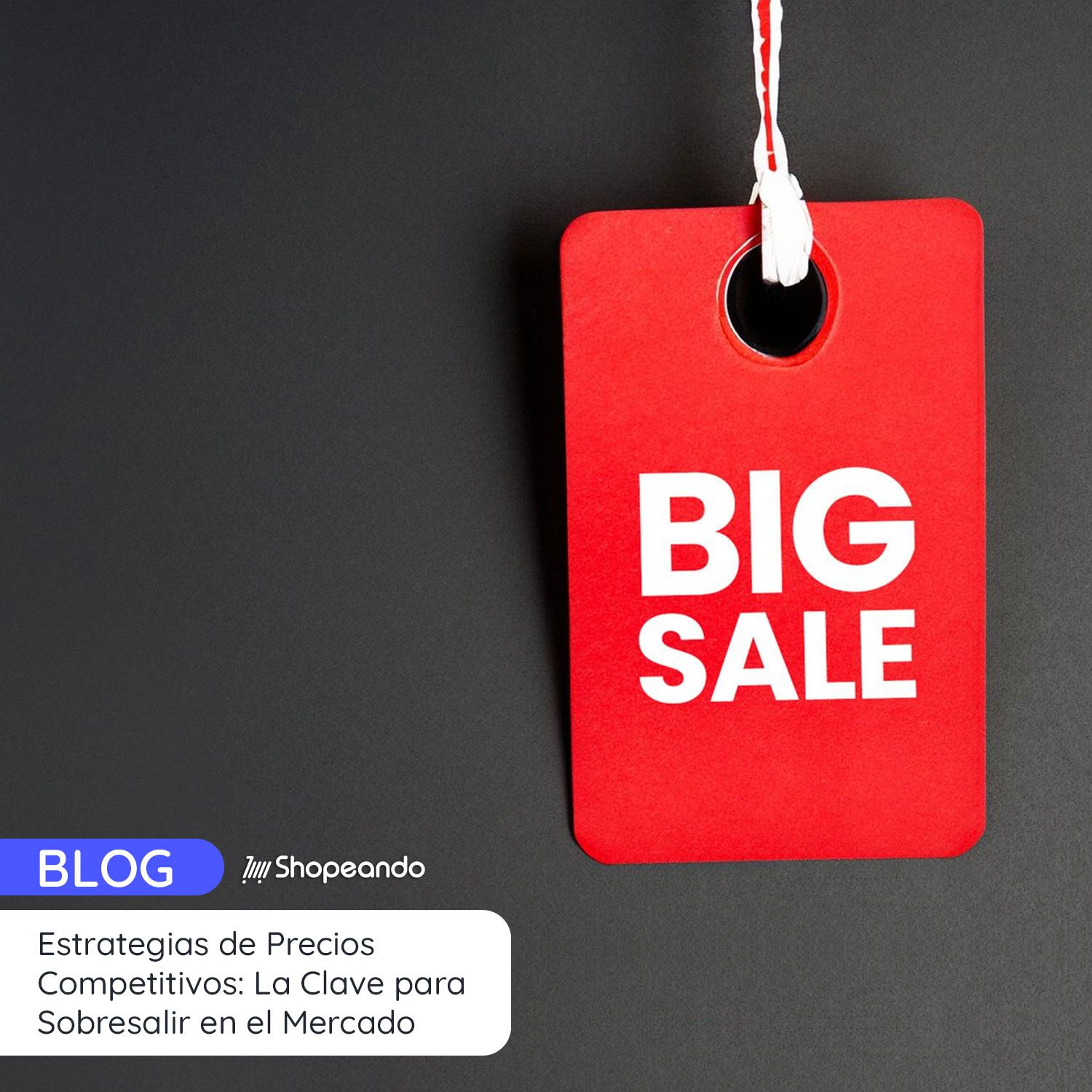 Estrategias de Precios Competitivos: La Clave para Sobresalir en el Mercado Global