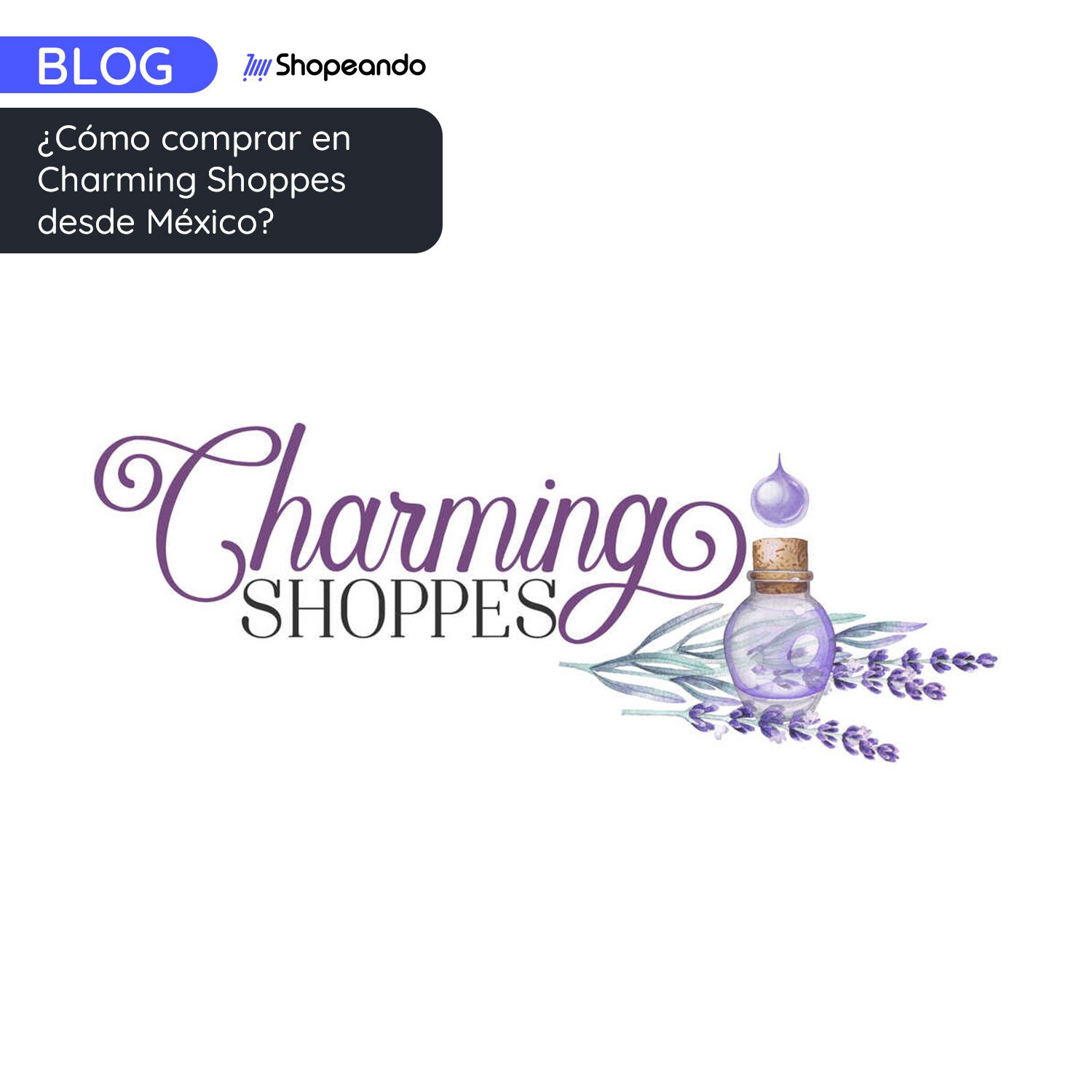 ¿Cómo comprar en Charming Shoppes desde México?