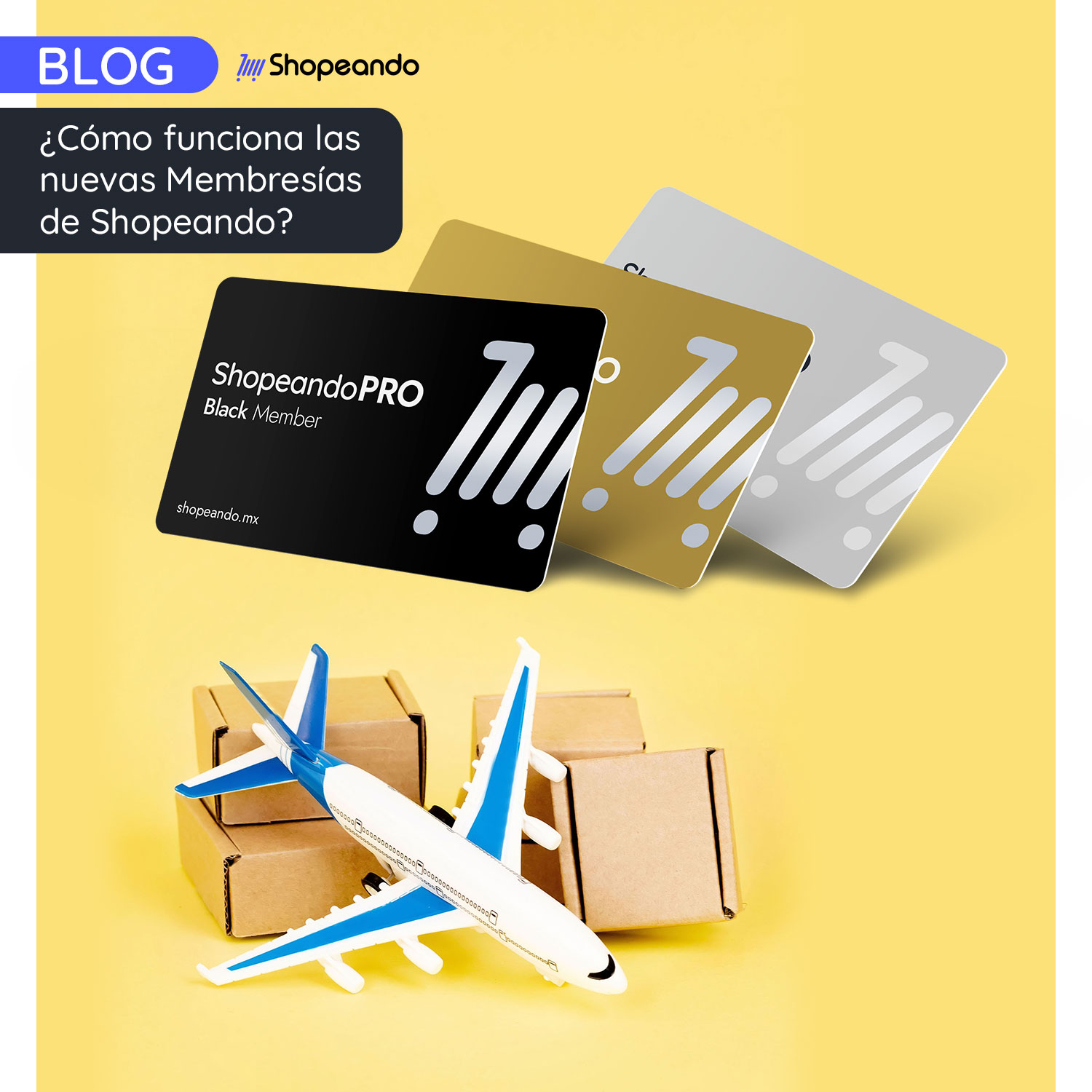 ¿Cómo funcionan las nuevas Membresías de Shopeando?